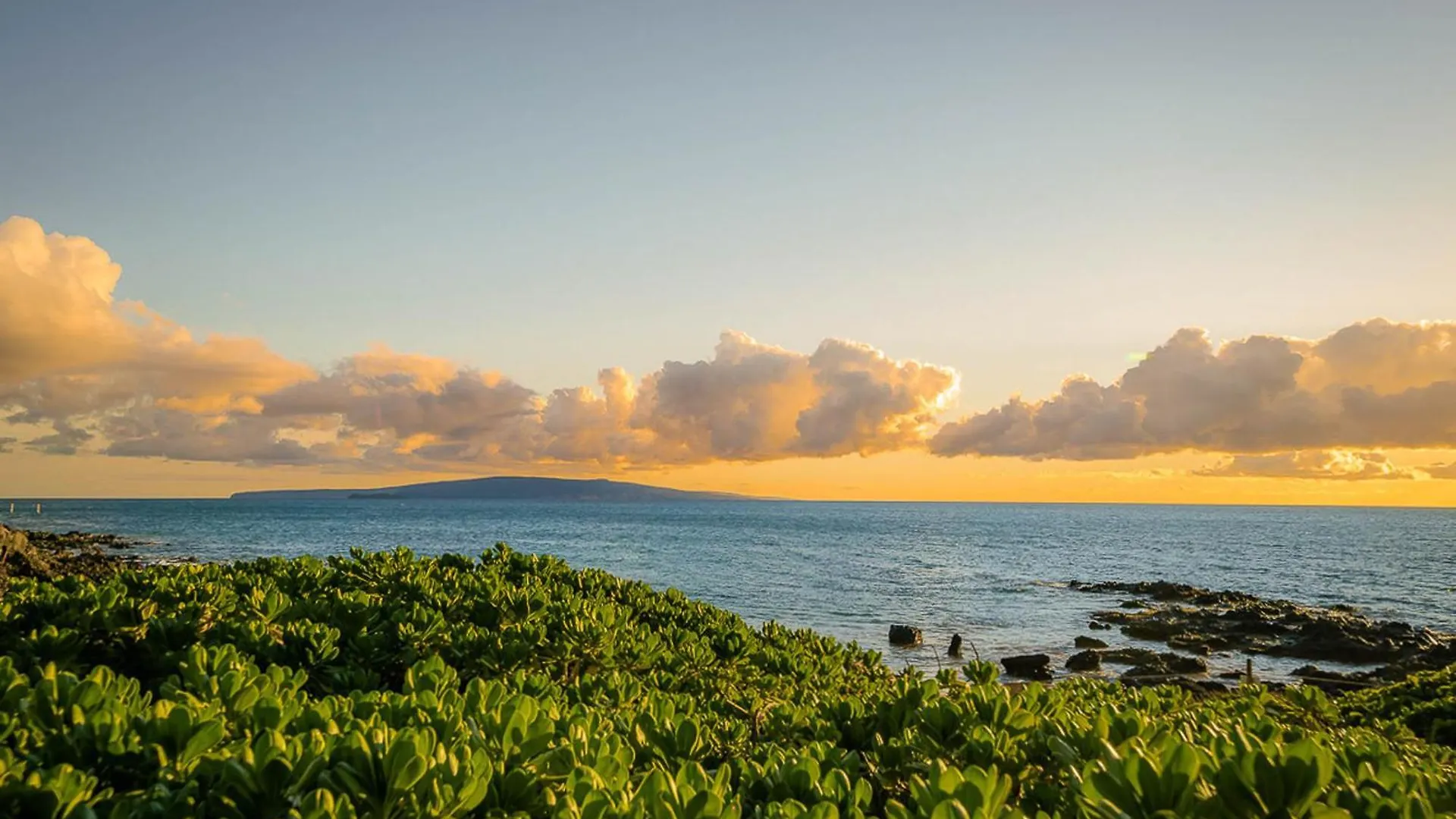 Kamaole Sands 5-311 Wailea  United States